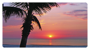 DSC700 127 (Sunset) Footprints